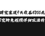 萌宠赛道9天收益4800元，AI宠物免视频详细玩法拆解