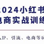 2024小红书电商3.0实战训练，包含个人IP、引流、电商等玩法