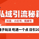 私域流量的精准化获客方法 野路子玩法 吃透一个点 日引200+ 【揭秘】