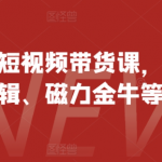 最新快手短视频带货课，开店、剪辑、磁力金牛等