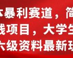 0成本暴利赛道，简单引流项目，大学生英语四六级资料最新玩法