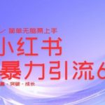 最新小红书暴力引流私域玩法，日引200+兼职粉，简单无脑操作