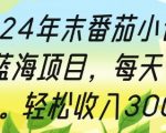 2024年末番茄小说最新蓝海项目，每天十分钟，轻松收入3张