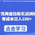 最新夸克网盘拉新实战训练营，零成本日入100+