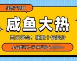 咸鱼大热轻资产类项目，当日学会，赚取十倍差价，小白即可入手