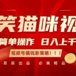 爆笑猫咪视频：简单操作，日入过K，视频号搞钱新策略【揭秘】