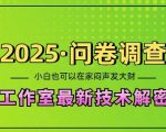 2025问卷调查最新工作室技术解密：一个人在家也可以闷声发大财，小白一天2张，可矩阵放大【揭秘】