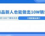 这个蓝海品，新号也能卖出10W的销售额，年底疯狂怼量就能出结果