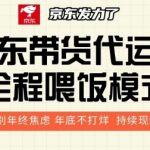 京东带货代运营全程喂饭模式，告别年终焦虑 年底不打烊 持续现金流+