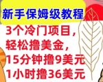 3个冷门项目，轻松撸美刀，1小时撸36刀，新手保姆级教程