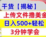 上传文件撸美金，新项目0门槛，3分钟学会，日入几张，真正被动收入