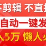 我出视频你来发，不剪辑，不直播，全自动一键代发，个位数播放都有收益，懒人必备!