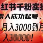 小红书千粉实操课，素人成功起号，从月入3000到月入过W