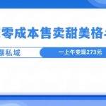 高成交零成本，售卖甜妹格斗视频，可以实现日入过k