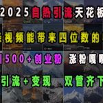 2025自热引流天花板，一条视频能带来四位数的收益，引流+变现双管齐下，日引500+创业粉，涨粉嘎嘎猛