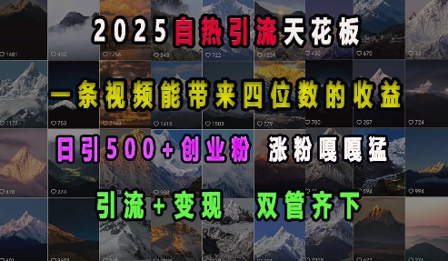 2025自热引流天花板，一条视频能带来四位数的收益，引流+变现双管齐下，日引500+创业粉，涨粉嘎嘎猛