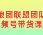 狼团联盟2024视频号带货，0基础小白快速入局视频号