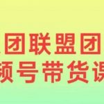 狼团联盟2024视频号带货，0基础小白快速入局视频号