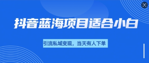 抖音蓝海小赛道私域变现项目，单价9.9单天变现100+，实操玩法分享给你