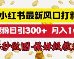 小红书最新图文打粉，5秒做图教程，爆粉日引300+