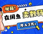 靠在闲鱼卖数码产品月入过W+的最新秘籍0基础教学，新手快速上手