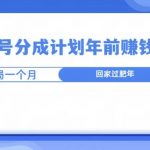 视频号分成计划年前挣钱赛道，布局一个月，回家过肥年