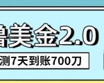 海外撸美金2.0，油管分享视频撸美金，5刀提现到账，一周到账2百刀