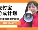 日本整蛊综艺，撸支付宝分成计划收益，每天只需一小时，轻松月入过W