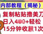 复制粘贴撸美刀，日入多张，内部教程(揭秘)，懒人捡钱，长期自动收入