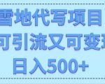 高端定制雪地代写项目，既可引流又可变现 小白日入5张