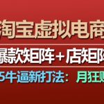 淘宝虚拟电商，2025牛逼新打法：爆款矩阵+店矩阵，月入过万