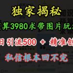 预算3980求带 图片玩法，单条日引流500+精准创业粉，私信根本回不完