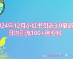 2024年12月小红书引流最新版，日均引流100+创业粉