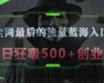 全网最后的流量蓝海入口，半小时引流50+创业粉，单日狂吸500+创业粉