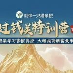 剽悍一只猫-过钱关特训营，学习营销真经 大幅度提高创富效率