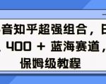 抖音知乎超强组合，日入4张， 蓝海赛道，保姆级教程