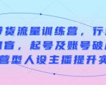 直播带货流量训练营，行业基础术语扫盲，起号及账号破层级，运营型人设主播提升实战