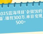 2025蓝海项目“会做饭的猫”，播放300万，单日变现多张