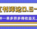 小红书留言评论，0.5元1条，一分钟一单，多劳多得，收益无上限