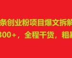 今日头条创业粉项目爆文拆解，日均引流300+，全程干货，粗暴好用