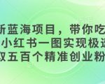 全新蓝海项目，带你吃到饱，小红书一图实现极速拉取五百个精准创业粉