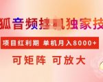 全网首发搜狐音频挂JI独家技术，项目红利期，可矩阵可放大，稳定月入8k【揭秘】