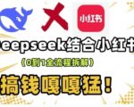 deepseek+小红书打造流量生产线实操课，0到1全流程拆解，搞钱嘎嘎猛