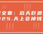 付费文章：滔天巨浪来袭！2025天上会掉钱吗？