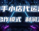 快手小店代运营 限时托管计划 合作模式 利润五五分成【揭秘】