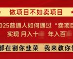 必看，做项目不如卖项目，2025普通人如何通过“卖项目”实现月入十个，年入百个