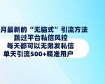 1月最新的无脑式引流方法，跳过平台私信风控，每天都可以无限发私信，单天引流500+精准用户