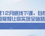 千川运营12月底线下课，自然流+付费+短视频让你实现全链路爆单