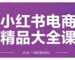 小红书电商精品大全课，快速掌握小红书运营技巧，实现精准引流与爆单目标，轻松玩转小红书电商