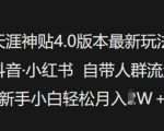 天涯神贴4.0版本最新玩法，抖音·小红书自带人群流量，新手小白轻松月入过W